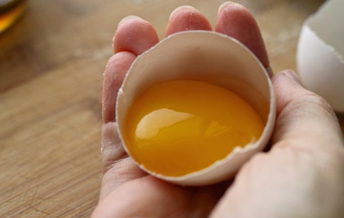 Kuning telur - kuning telur