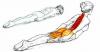 8 latihan untuk membantu meluruskan postur tubuh dan meringankan sakit punggung Anda