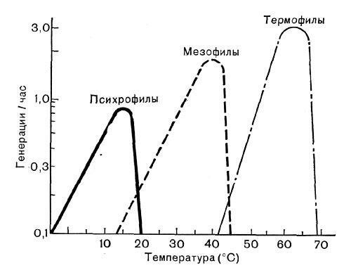 Tabel kelangsungan hidup mikroorganisme: bahkan thermophiles (orang-orang yang seperti itu panas) berhenti bereproduksi dan mati pada suhu 60 derajat.