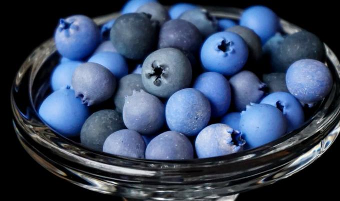 Blueberry - blueberry