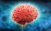 Otak: 7 cara untuk meningkatkan kinerjanya