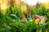 Bagaimana menjelaskan kepada anak Anda arti dari kelinci Paskah dan telur berwarna