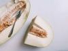 Lush melon charlotte: resep langkah demi langkah