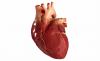 3 faktor utama yang menyebabkan penyakit jantung