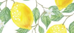 Lemon - masih asam atau basa makanan?