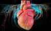 6 indikasi tepat pada masalah jantung