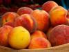 Dapatkah saya makan peach bagi mereka yang sedang diet? Rincian Pasal
