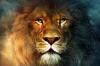12 karakteristik Lions, yang Anda akan mencintai mereka