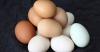Terhalau mitos telur bahaya kontroversial