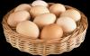10 dari sifat-sifat telur. Mitos harmfulness mereka