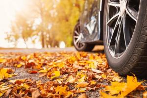 Perhatian, musim gugur: 9 tip teratas untuk pengemudi yang dapat menyelamatkan nyawa