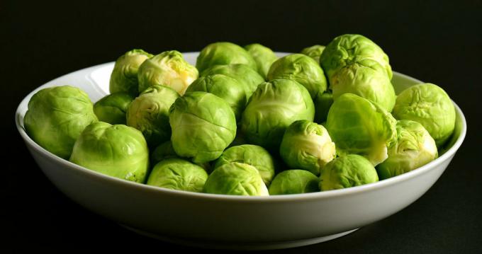 Kubis Brussel - brussels sprout