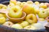 4 apel metode kencing