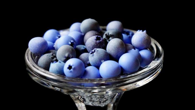 Blueberry - blueberry