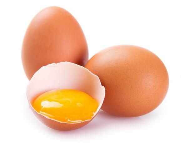 telur ayam